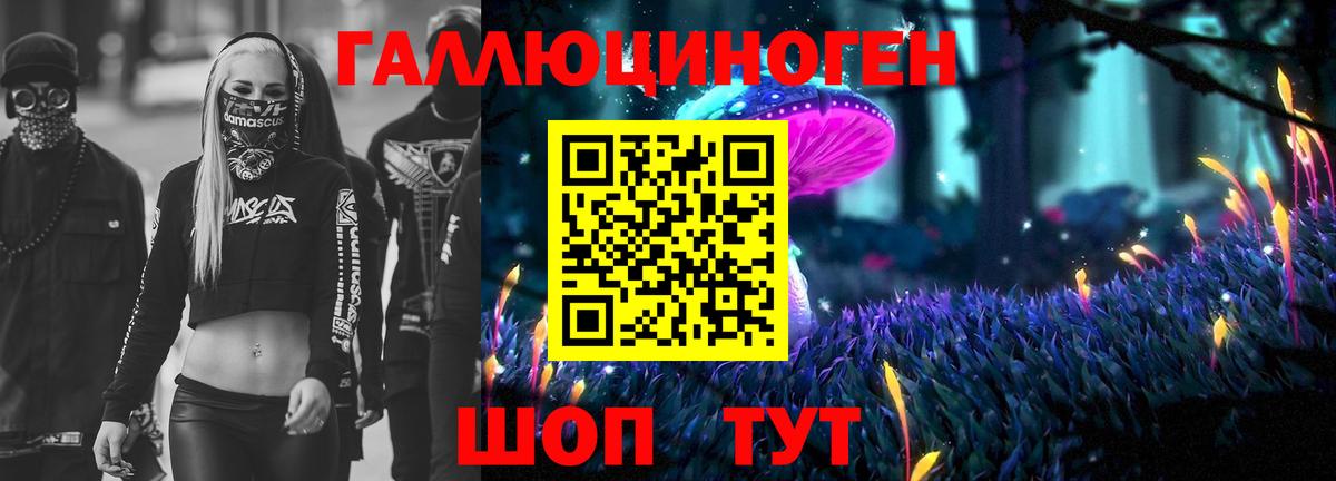 Каменка  Галлюциногенные грибы мицелий  Вход с VPN 
