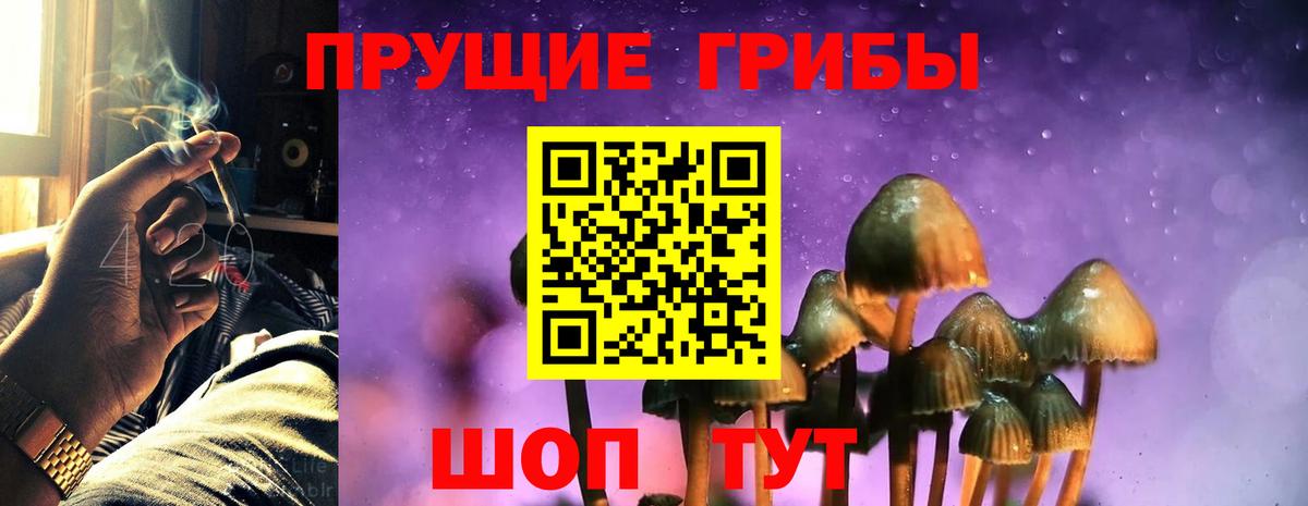 Псилоцибиновые грибы MAGIC MUSHROOMS Каменка